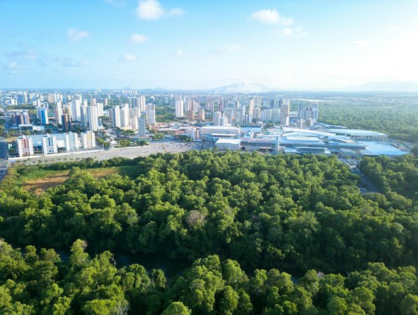 Équité Sociale et Disparités de Santé : Vers une Société Plus Juste